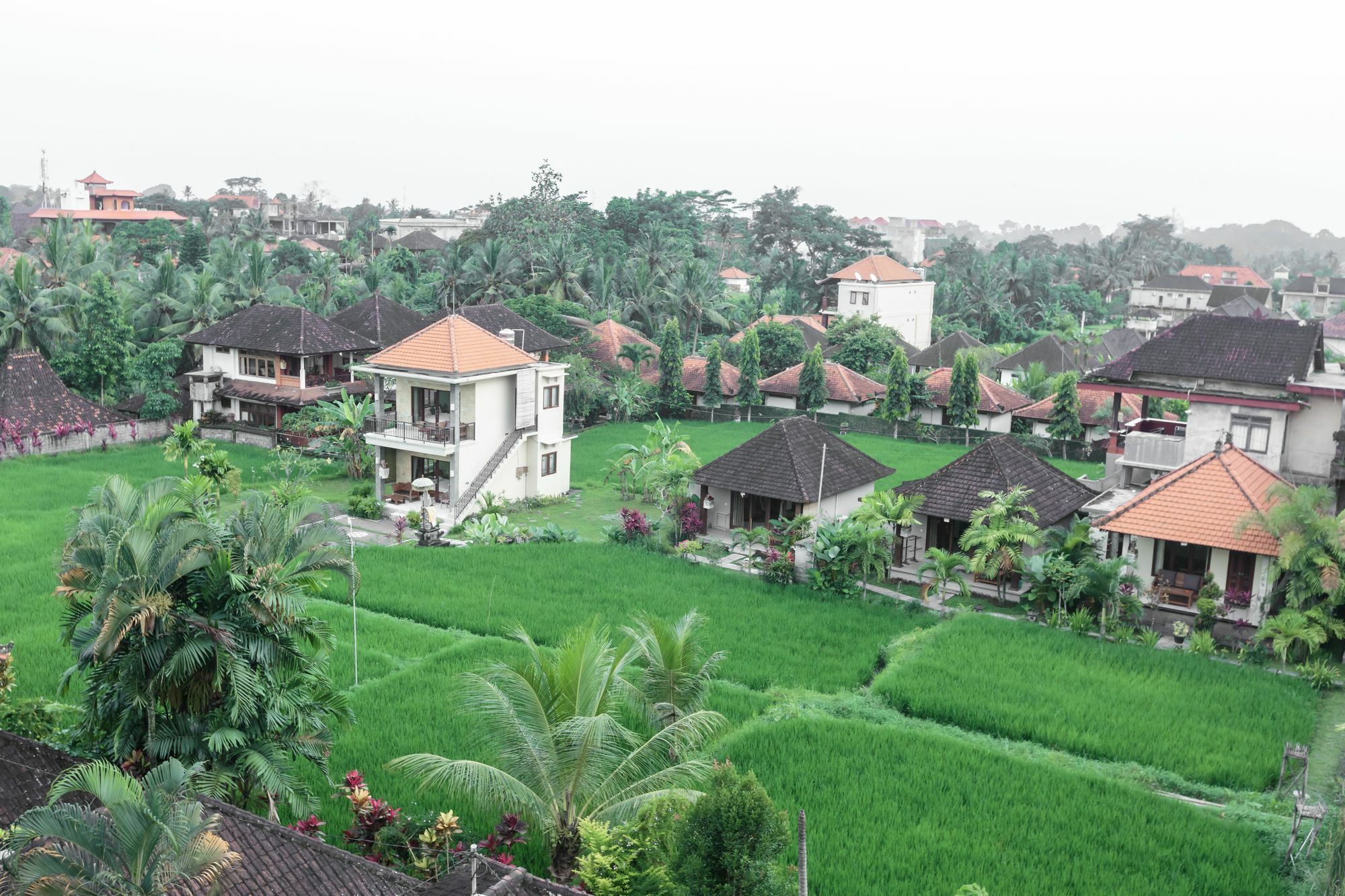 Warji House 2 Bisma Hotel Ubud  Bagian luar foto